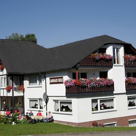Landhaus Behle Willingen  Bagian luar foto